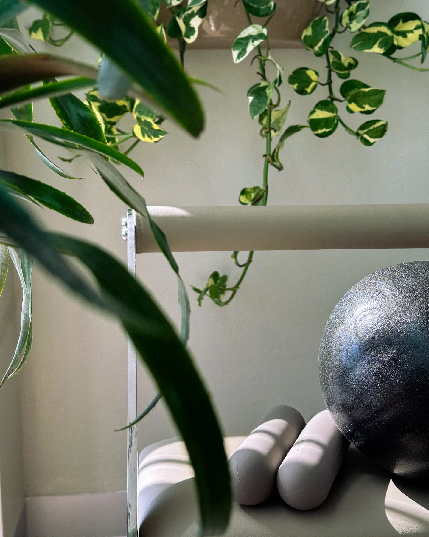 Plantas y accesorios · detalle